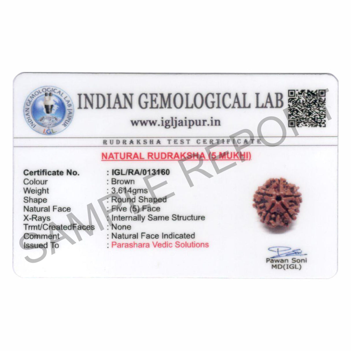 ARKAM Five Mukhi Rudraksha Certified/ Original Nepali 5 Mukhi Rudraksh/ Natural 5 faced Rudraksha (Brown) with Certificate and Puja Instructions - Retail Maharaj