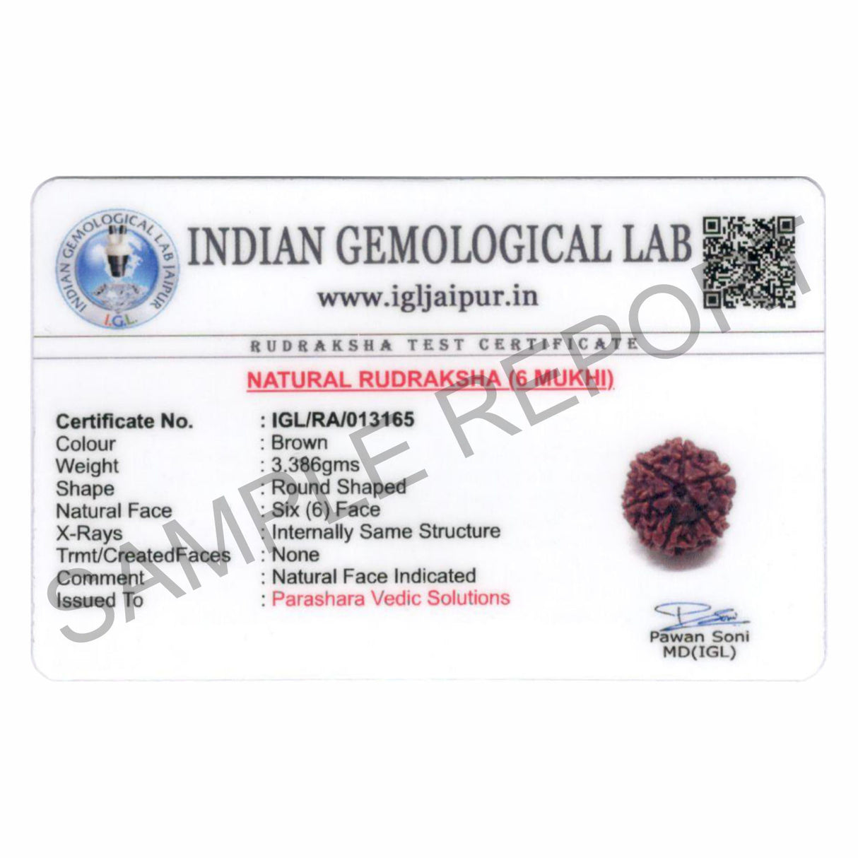ARKAM Six Mukhi Rudraksha Certified/ Original Nepali 6 Mukhi Rudraksh/ Natural 6 faced Rudraksha (Brown) with Certificate and Puja Instructions - Retail Maharaj