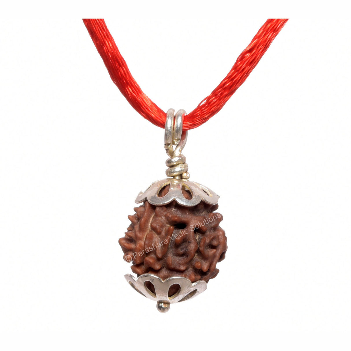 ARKAM Three Mukhi Rudraksha Certified/ Original Nepali 3 Mukhi Rudraksh/ Natural 3 faced Rudraksha with Silver Pendant (Brown) with Certificate and Puja Instructions - Retail Maharaj