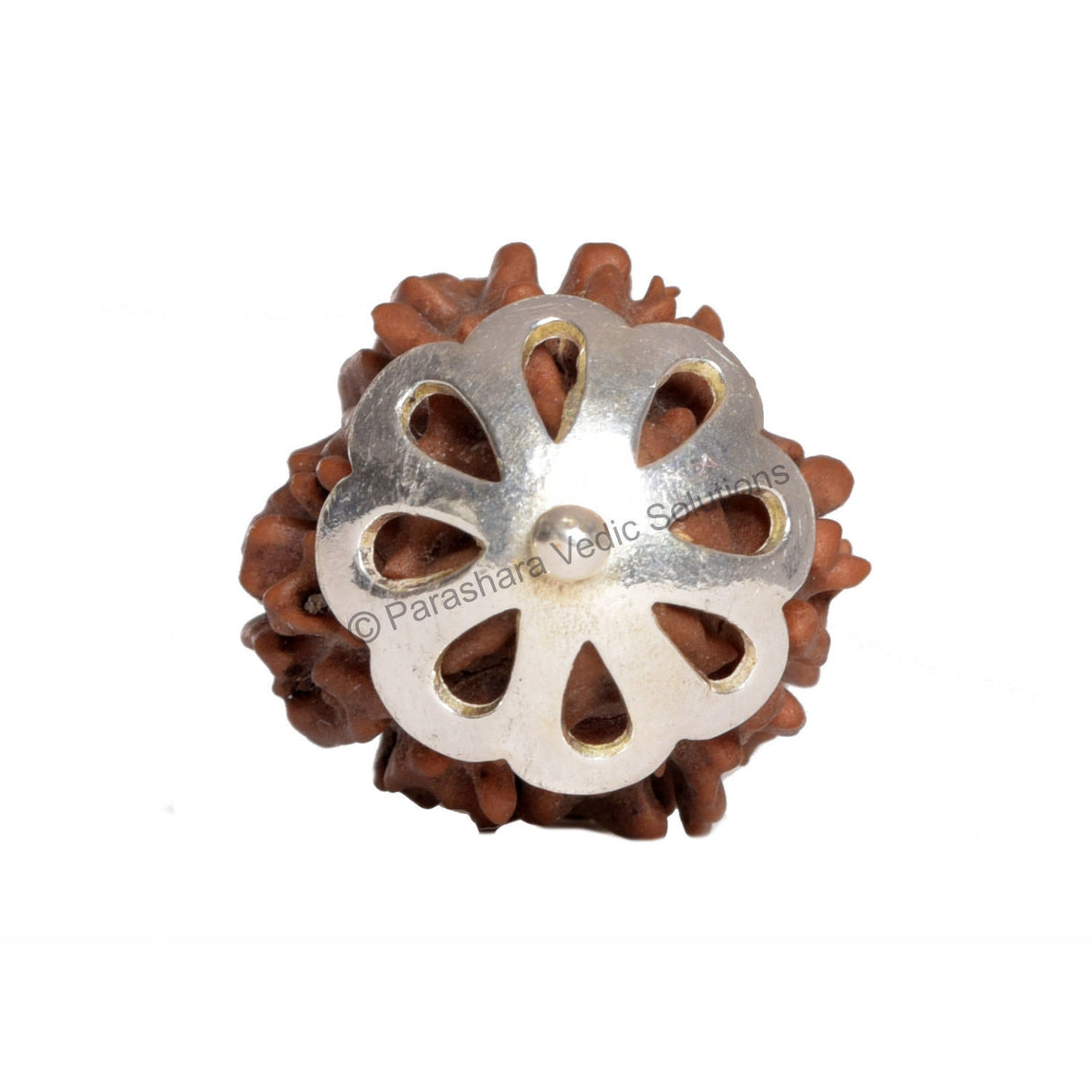 ARKAM Three Mukhi Rudraksha Certified/ Original Nepali 3 Mukhi Rudraksh/ Natural 3 faced Rudraksha with Silver Pendant (Brown) with Certificate and Puja Instructions - Retail Maharaj