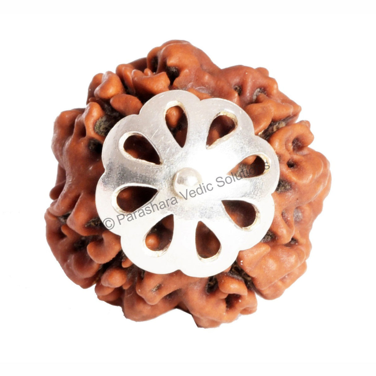 ARKAM Four Mukhi Rudraksha Certified/ Original Nepali 4 Mukhi Rudraksh/ Natural 4 faced Rudraksha with Silver Pendant (Brown) with Certificate and Puja Instructions - Retail Maharaj