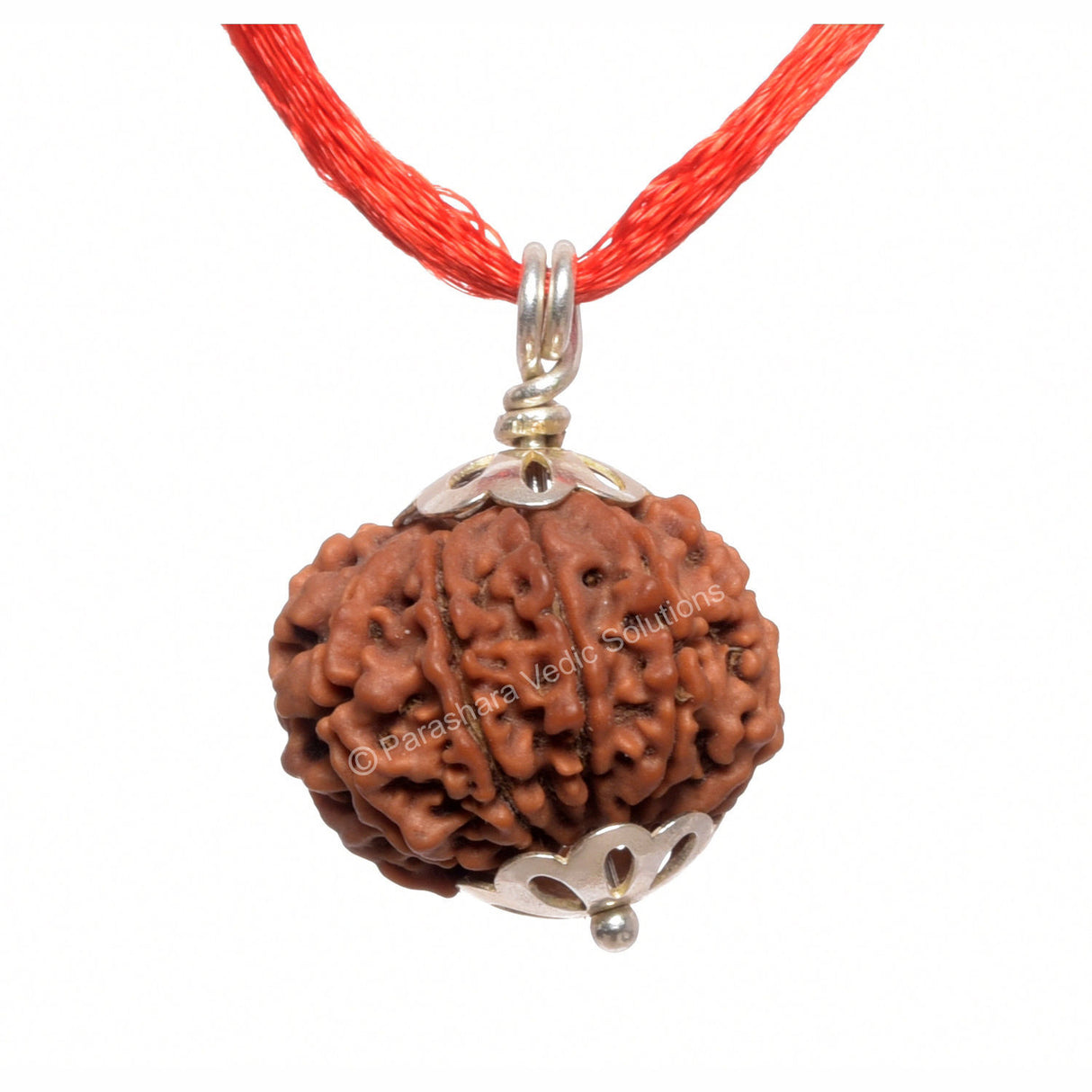 ARKAM Ten Mukhi Rudraksha Certified/ Original Nepali 10 Mukhi Rudraksh/ Natural 10 faced Rudraksha with Silver Pendant (Brown) with Certificate and Puja Instructions - Retail Maharaj