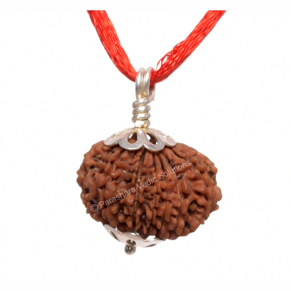 ARKAM Thirteen Mukhi Rudraksha Certified/ Original Nepali 13 Mukhi Rudraksh/ Natural 13 faced Rudraksha with Silver Pendant (Brown) with Certificate and Puja Instructions - Retail Maharaj
