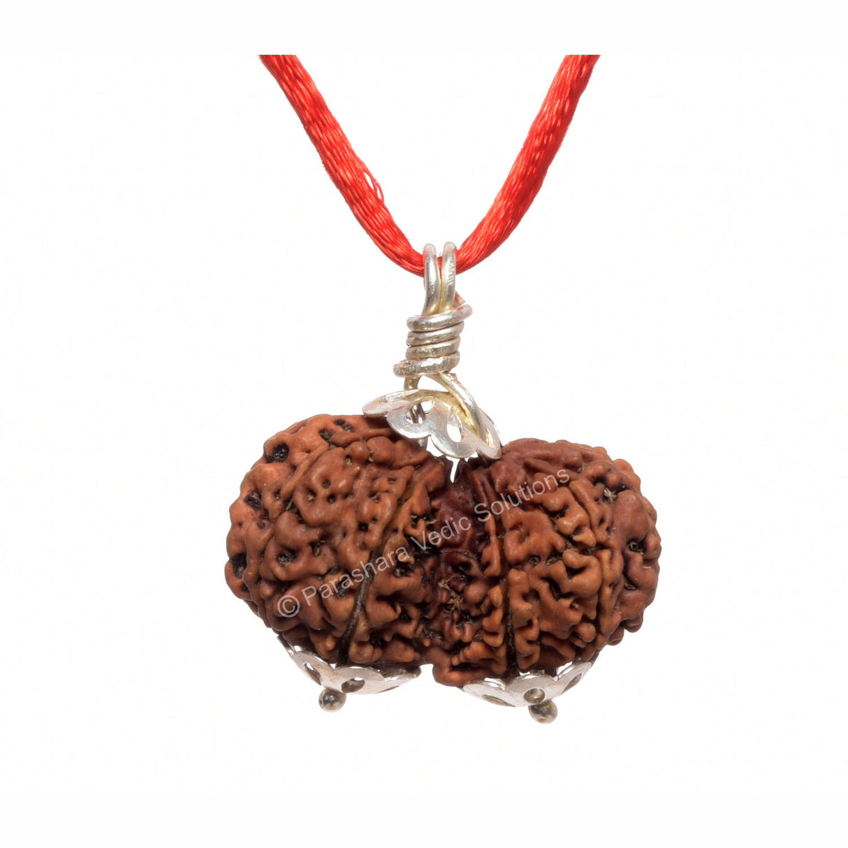 ARKAM Gauri Shankar Rudraksha Certified/ Original Nepali Gauri Shankar Rudraksh/ Natural Gauri Shankar Rudraksha with Silver Pendant (Brown) with Certificate and Puja Instructions - Retail Maharaj