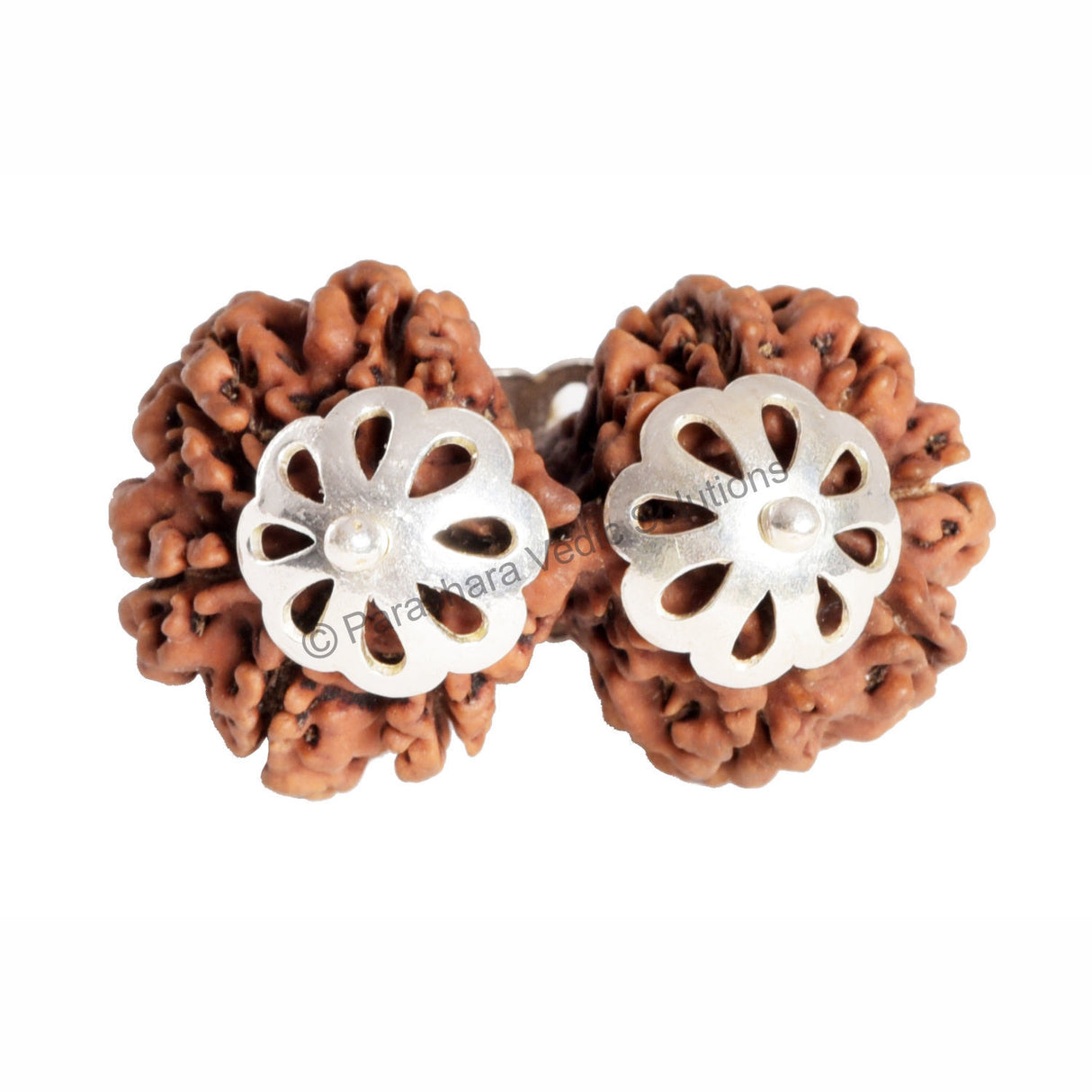 ARKAM Gauri Shankar Rudraksha Certified/ Original Nepali Gauri Shankar Rudraksh/ Natural Gauri Shankar Rudraksha with Silver Pendant (Brown) with Certificate and Puja Instructions - Retail Maharaj