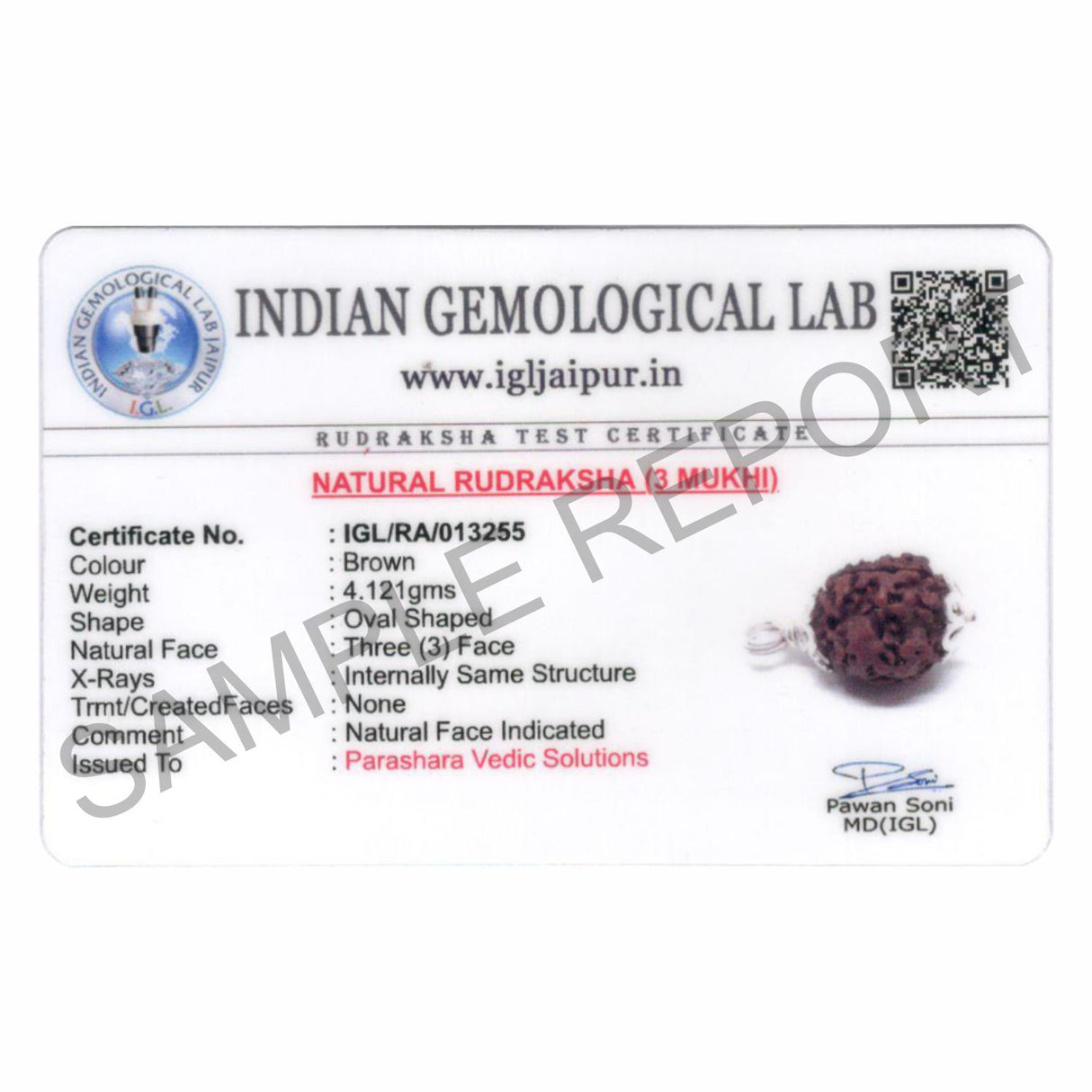 ARKAM Three Mukhi Rudraksha Certified/ Original Nepali 3 Mukhi Rudraksh/ Natural 3 faced Rudraksha with Silver Pendant (Brown) with Certificate and Puja Instructions - Retail Maharaj