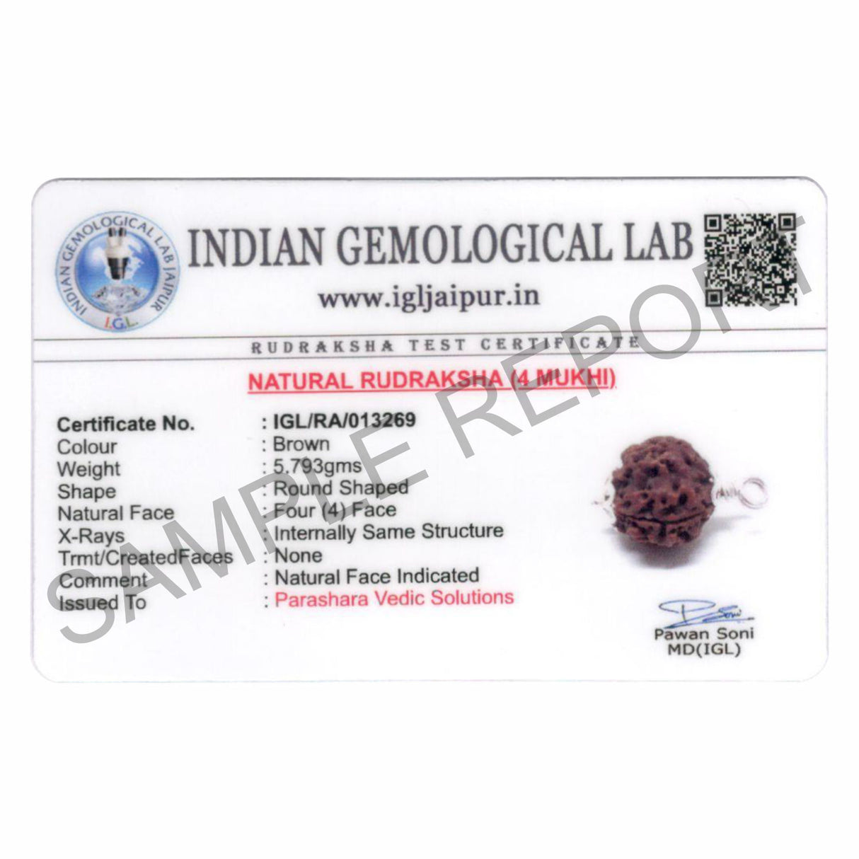 ARKAM Four Mukhi Rudraksha Certified/ Original Nepali 4 Mukhi Rudraksh/ Natural 4 faced Rudraksha with Silver Pendant (Brown) with Certificate and Puja Instructions - Retail Maharaj