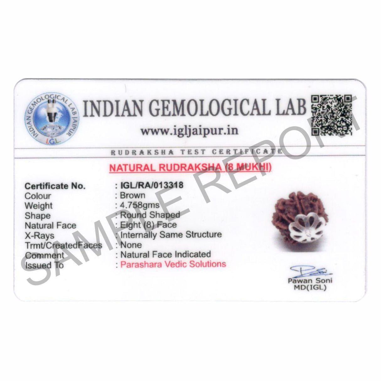 ARKAM Eight Mukhi Rudraksha Certified/ Original Nepali 8 Mukhi Rudraksh/ Natural 8 faced Rudraksha with Silver Pendant (Brown) with Certificate and Puja Instructions - Retail Maharaj
