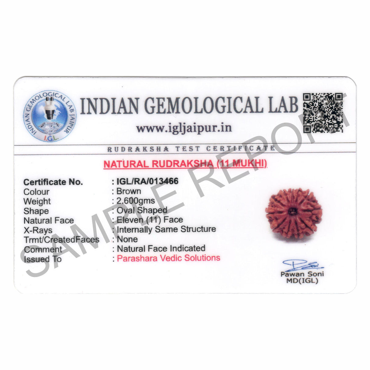 ARKAM Eleven Mukhi Rudraksha Certified/ Original Nepali 11 Mukhi Rudraksh/ Natural 11 faced Rudraksha (Brown) with Certificate and Puja Instructions - Retail Maharaj