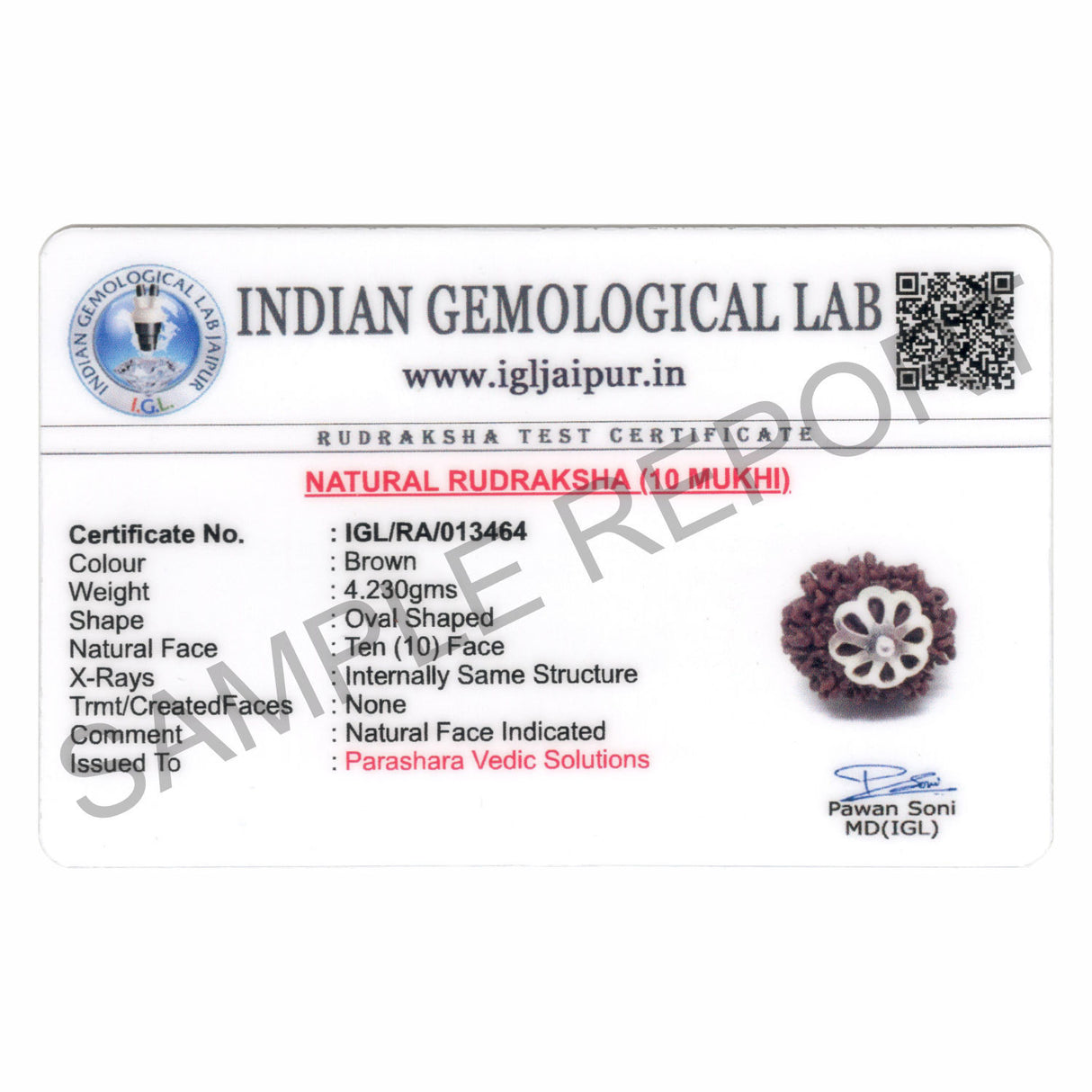 ARKAM Ten Mukhi Rudraksha Certified/ Original Nepali 10 Mukhi Rudraksh/ Natural 10 faced Rudraksha with Silver Pendant (Brown) with Certificate and Puja Instructions - Retail Maharaj