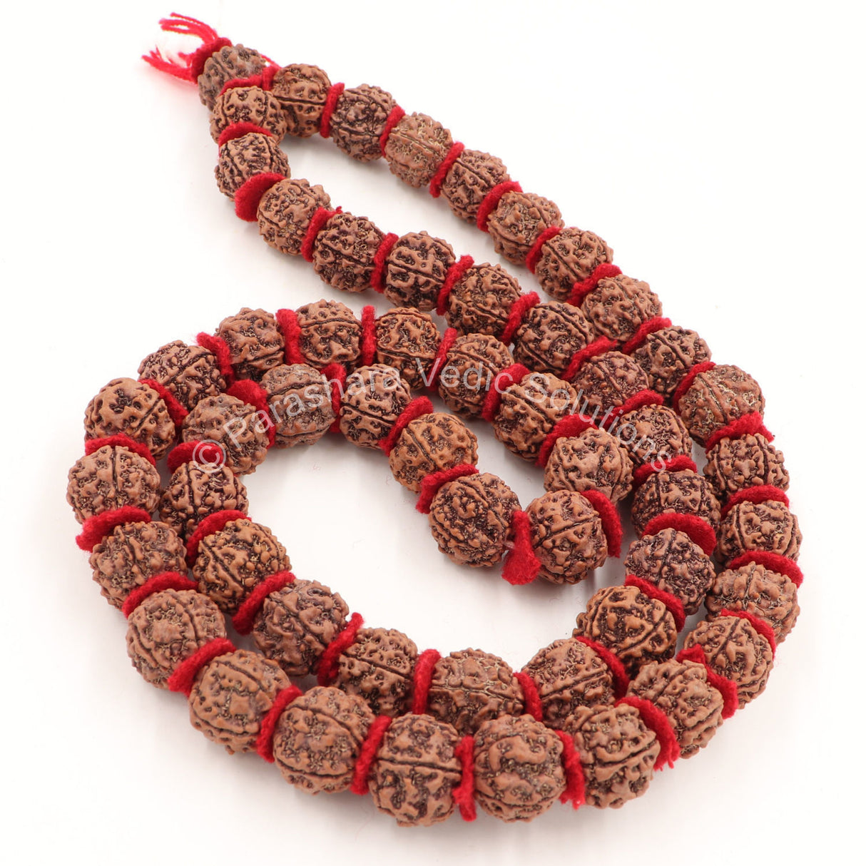 Arkam 5 mukhi Rudraksh Kantha/ Rudraksha Kantha for wearing and worship/ Rudraksh Mala Big/ Five faced Rudraksh Kantha Mala with Padding (Size: 18-22mm, Length: 35inches, Beads: 54+1) - Retail Maharaj