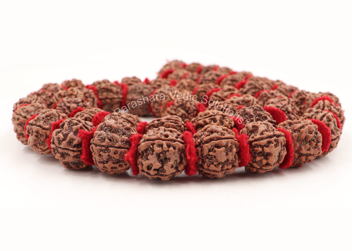Arkam 5 mukhi Rudraksh Kantha/ Rudraksha Kantha for wearing and worship/ Rudraksh Mala Big/ Five faced Rudraksh Kantha Mala with Padding (Size: 18-22mm, Length: 35inches, Beads: 54+1) - Retail Maharaj