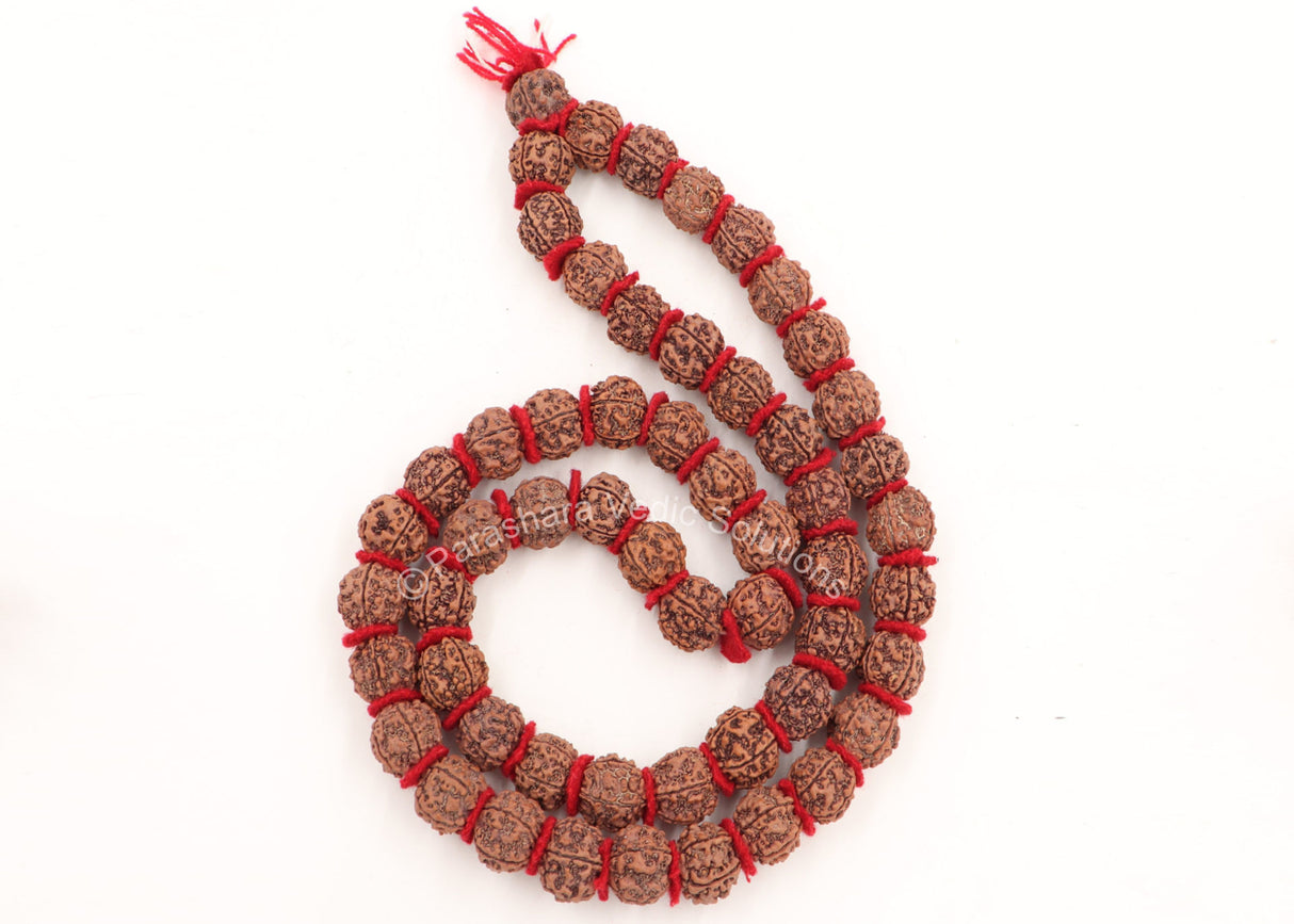 Arkam 5 mukhi Rudraksh Kantha/ Rudraksha Kantha for wearing and worship/ Rudraksh Mala Big/ Five faced Rudraksh Kantha Mala with Padding (Size: 18-22mm, Length: 35inches, Beads: 54+1) - Retail Maharaj