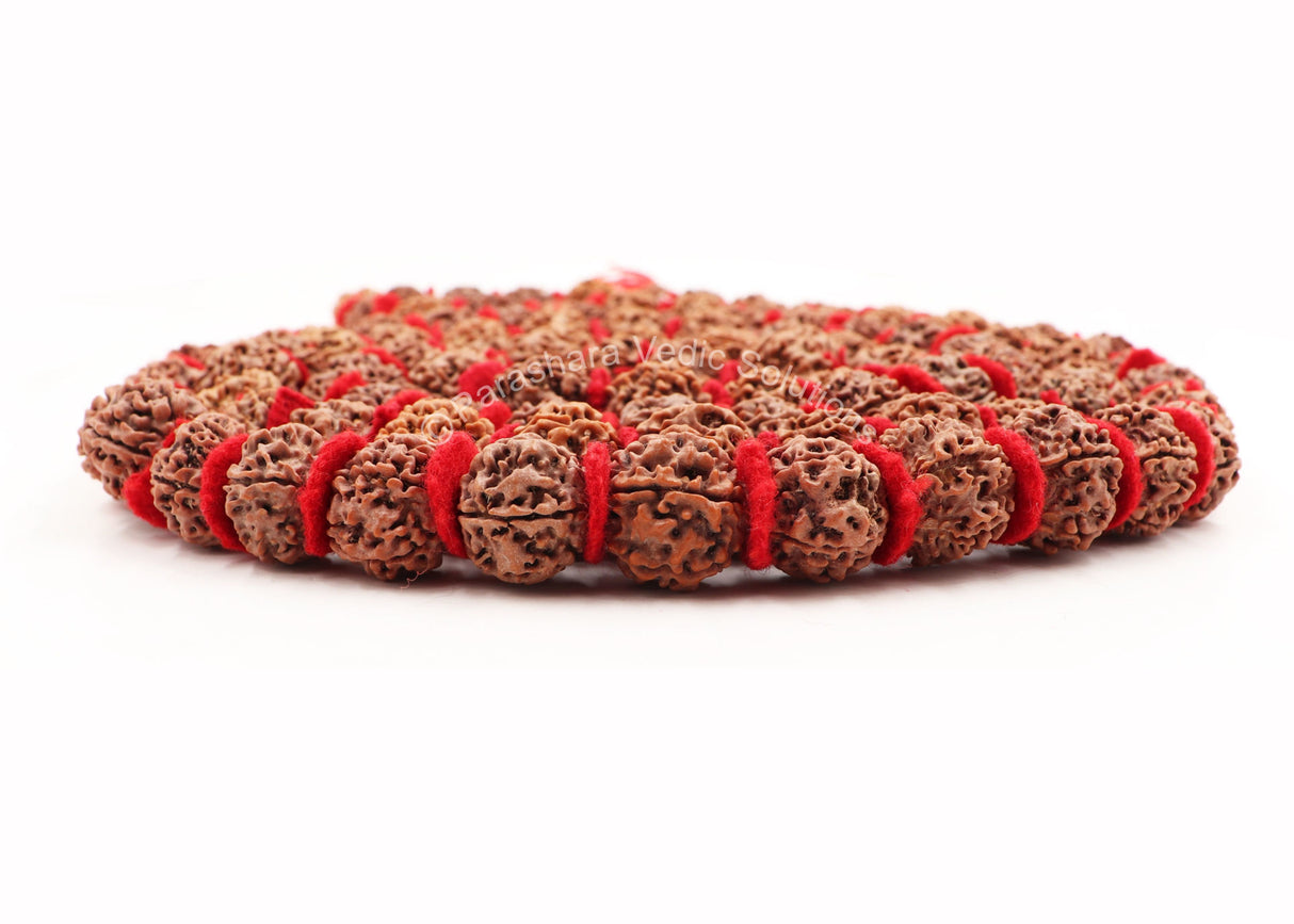Arkam 5 mukhi Rudraksh Kantha Certified/ Rudraksha Kantha for wearing and worship/ Rudraksh Mala Big/ Five faced Rudraksh Kantha Mala with Padding (Size: 18-22mm, Length: 75inches, Beads: 108+1) - Retail Maharaj