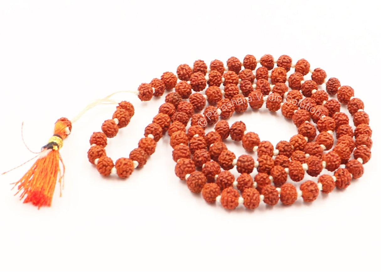 Arkam Rudraksha Mala/ Natural Rudraksh Mala/ Original Rudraksha mala/ Small Rudraksham Mala/ 4mm Rudraksha Rosary (Size: 4mm, Beads: 108+1) - Retail Maharaj