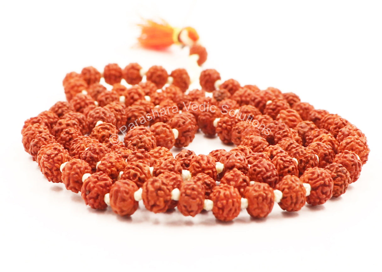 Arkam Rudraksha Mala/ Natural Rudraksh Mala/ Original Rudraksha mala/ Small Rudraksham Mala/ 4mm Rudraksha Rosary (Size: 4mm, Beads: 108+1) - Retail Maharaj
