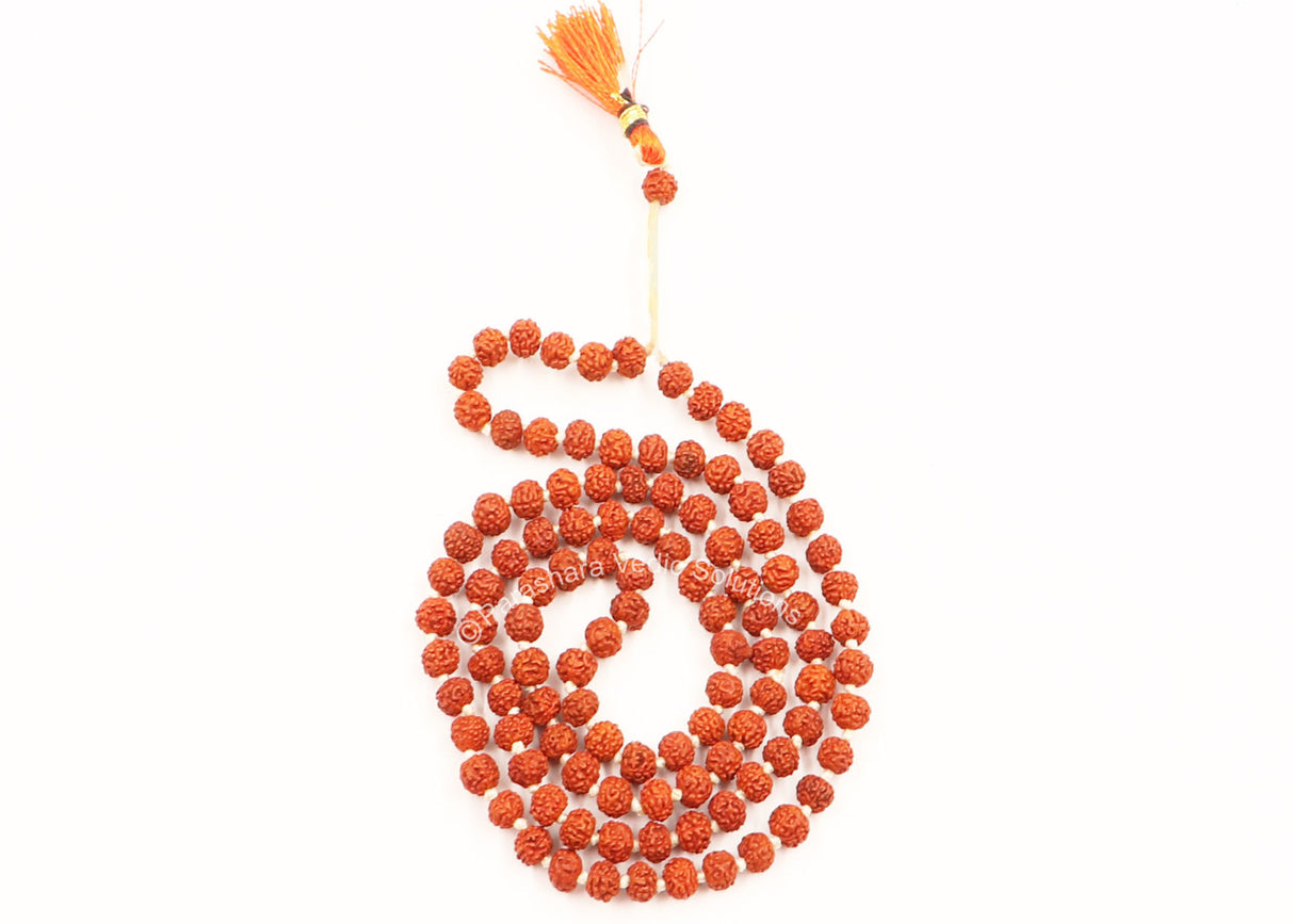 Arkam Rudraksha Mala/ Natural Rudraksh Mala/ Original Rudraksha mala/ Small Rudraksham Mala/ 4mm Rudraksha Rosary (Size: 4mm, Beads: 108+1) - Retail Maharaj