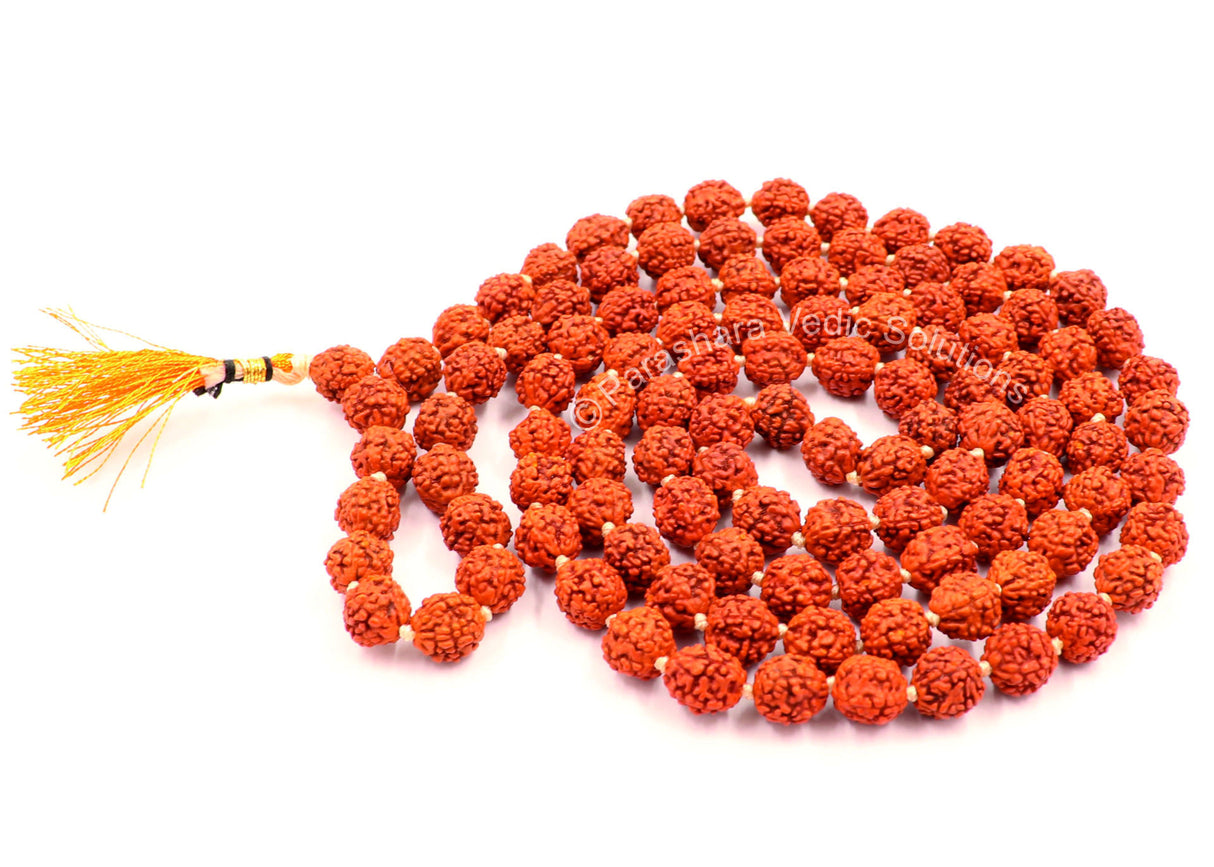 Arkam Rudraksha Mala/ Natural Rudraksh Mala/ Original Rudraksha mala/ Rudraksha Mala for jaap/ 8mm Rudraksha Rosary (Size: 8mm, Beads: 108+1) - Retail Maharaj