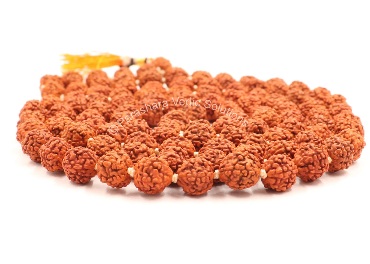 Arkam Rudraksha Mala/ Natural Rudraksh Mala/ Original Rudraksha mala/ Rudraksha Mala for jaap/ 8mm Rudraksha Rosary (Size: 8mm, Beads: 108+1) - Retail Maharaj