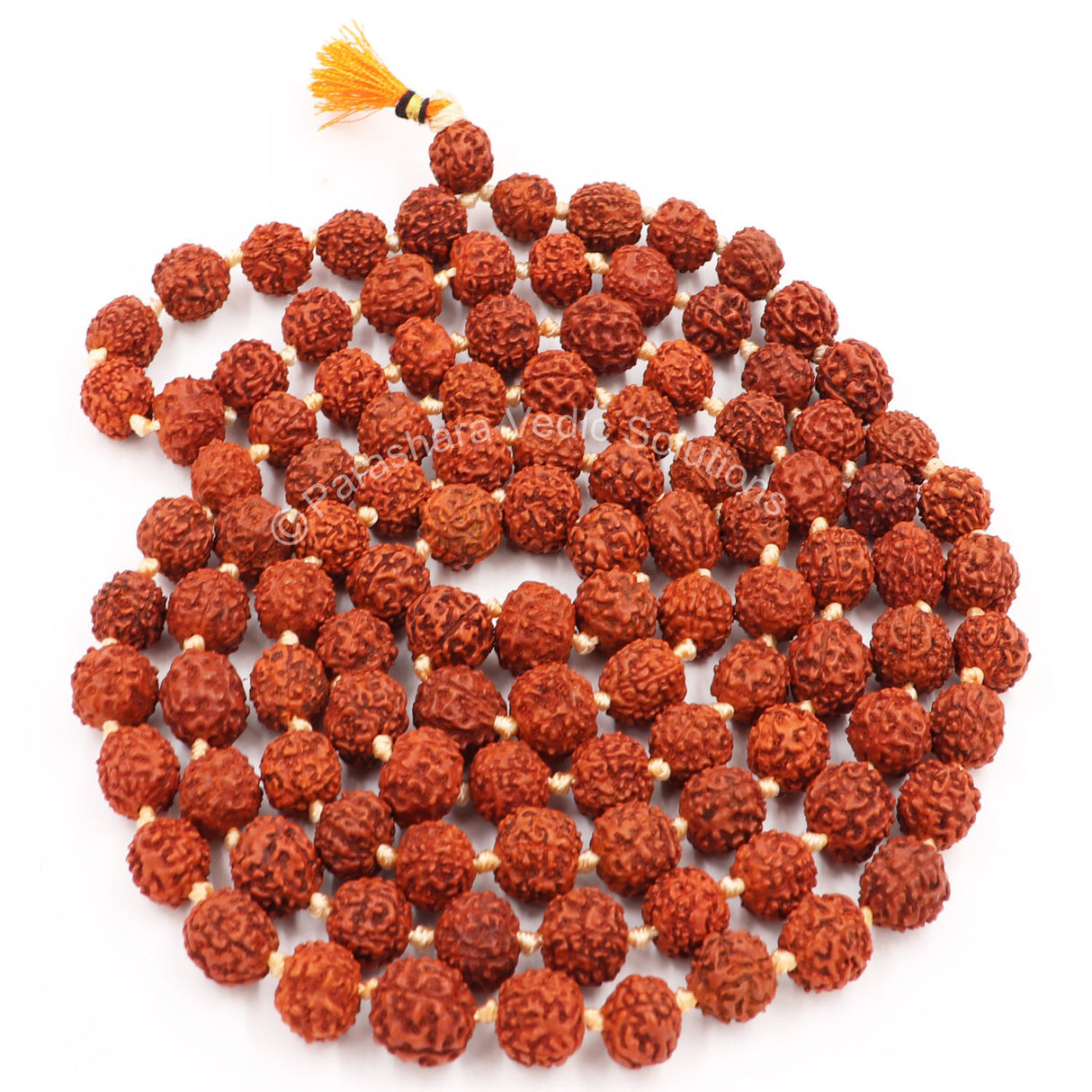 Arkam Rudraksha Mala Certified/Natural Rudraksh Mala/Original Rudraksha mala/Rudraksha Mala for jaap/ 12mm Rudraksha Rosary (Size: 12mm, Beads: 108+1) - Retail Maharaj