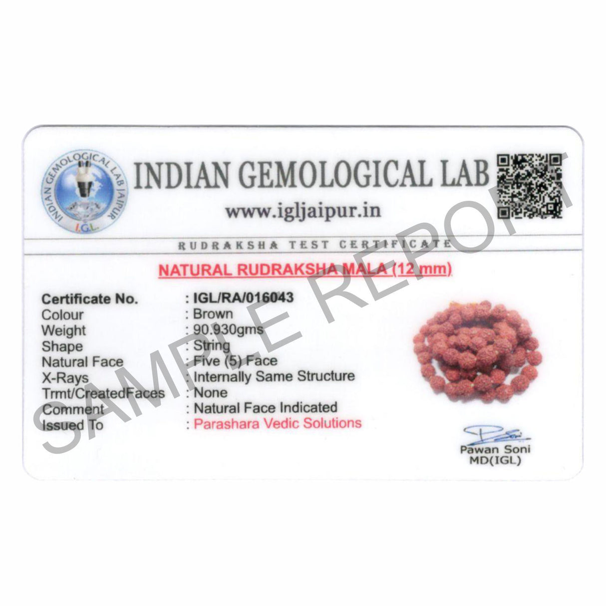 Arkam Rudraksha Mala Certified/Natural Rudraksh Mala/Original Rudraksha mala/Rudraksha Mala for jaap/ 12mm Rudraksha Rosary (Size: 12mm, Beads: 108+1) - Retail Maharaj