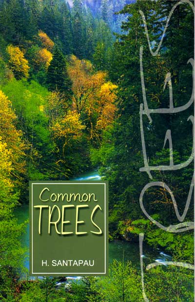 Common Trees - Retail Maharaj