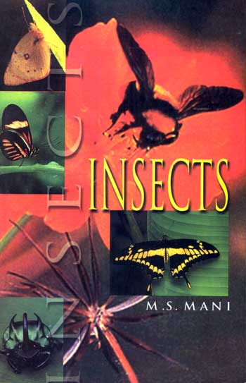 Insects - Retail Maharaj