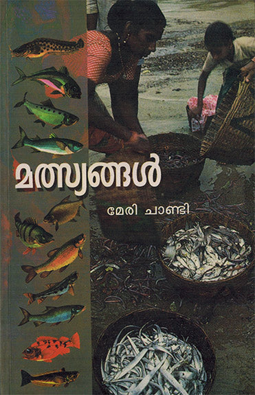 FISHES - Retail Maharaj