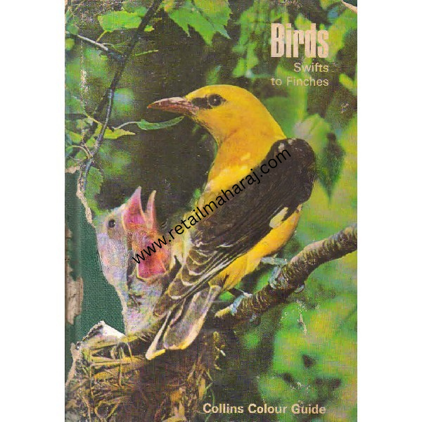 Birds Swifts and Finches 1st edition - Retail Maharaj