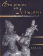 Sculptures and Antiquities in the Archaeological Museum, Amravati - Retail Maharaj