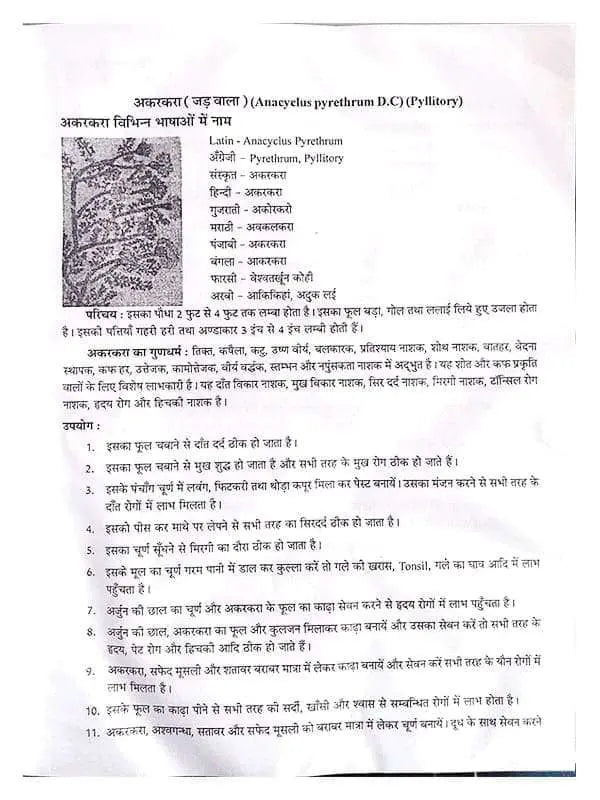 दिव्य औषधि विज्ञान Divya Aushdhi Vigyan - Retail Maharaj