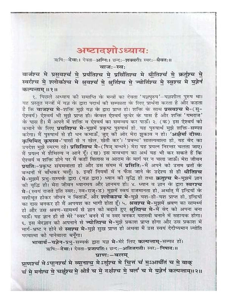 यजुर्वेदभाष्यम्  Yajurvedbhashyam (set of 2 Vol.) - Retail Maharaj