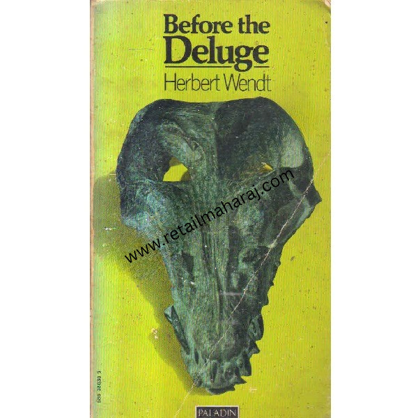 Before the deluge - Retail Maharaj