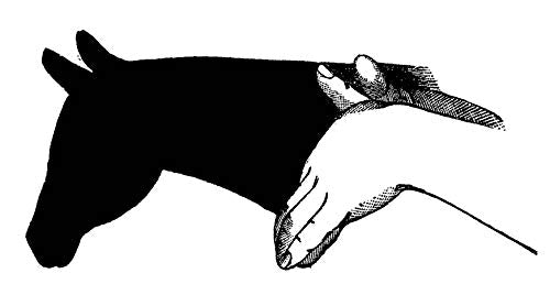 Complete Book of Hand Shadows: Instructions for Shadowgraphy (Dover Books on Magic, Games and Puzzles)