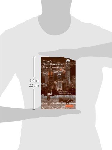 China's Great Economic Transformation