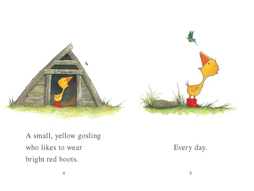 Gossie - Retail Maharaj