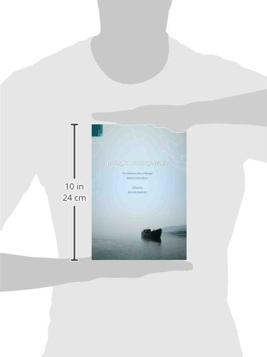 Pelagic Passageways: The Northern Bay of Bengal Before Colonialism - Retail Maharaj