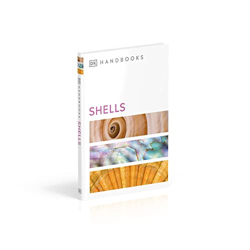 Shells - Retail Maharaj