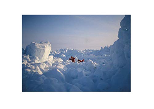 Philosophy for Polar Explorers: An Adventurer’s Guide to Surviving Winter - Retail Maharaj