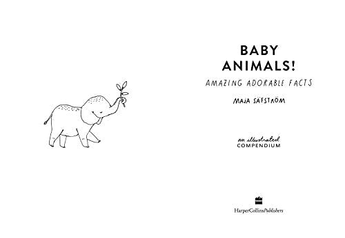 Baby Animals!: Amazing Adorable Facts - Retail Maharaj