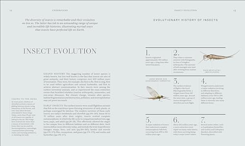 RES Insects: Discover the Science and Secrets Behind the World of Insects - Retail Maharaj