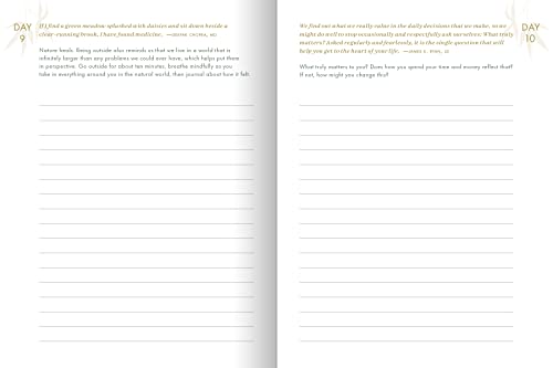 The Resilience Journal: 365 Days to Balance and Peace of Mind