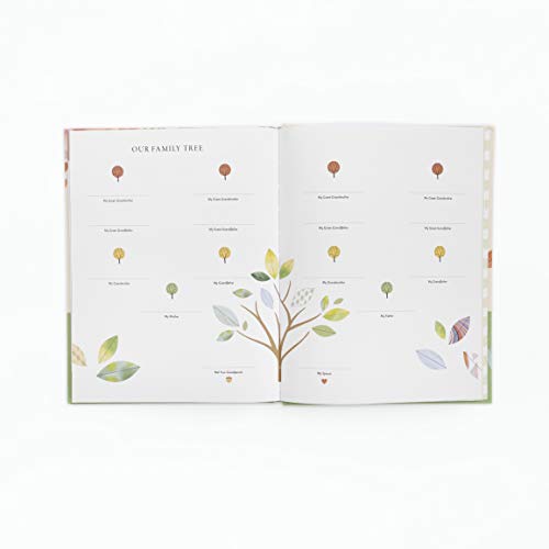 Dear Grandchild, This Is Me: A Gift of Stories, Wisdom, and Off-the-Record Tales