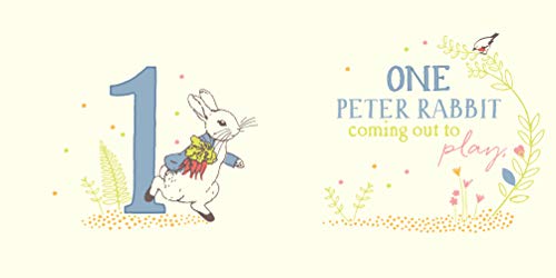 Peter Rabbit 123: A Counting Book (Peter Rabbit Baby Books) - Retail Maharaj