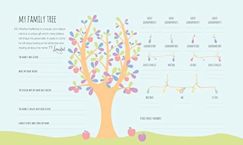 Baby's First-Year Journal - Retail Maharaj