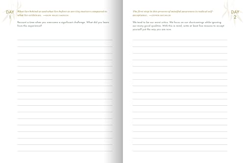 The Resilience Journal: 365 Days to Balance and Peace of Mind