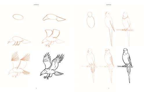 Draw 200 Animals: The Step-by-Step Way to Draw Horses, Cats, Dogs, Birds, Fish, and Many More Creatures - Retail Maharaj