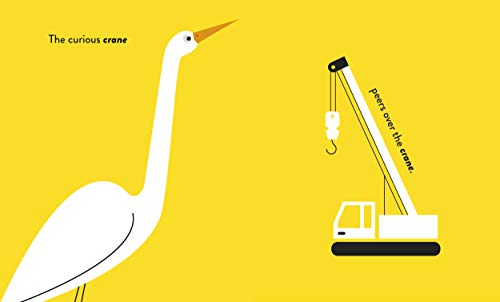 A Bare Bear: A Book of Words that Sound the Same - Retail Maharaj