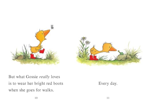 Gossie - Retail Maharaj