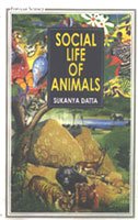Social Life of Animals - Retail Maharaj
